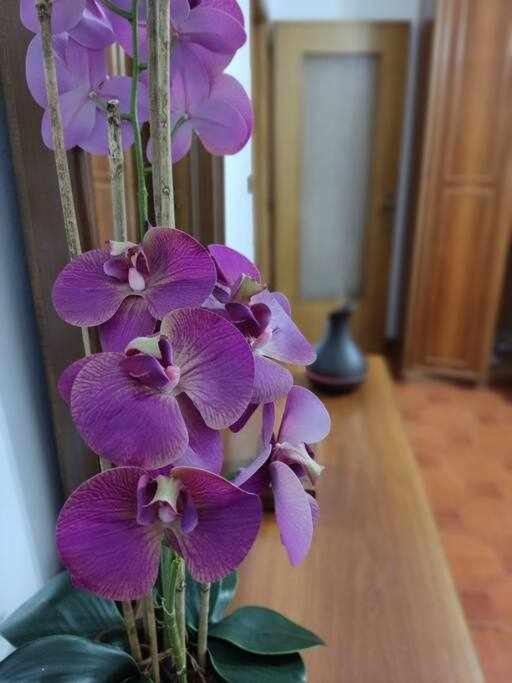 Casa Vacanza Il Corbetto Di Michela & Matteo Locana Экстерьер фото